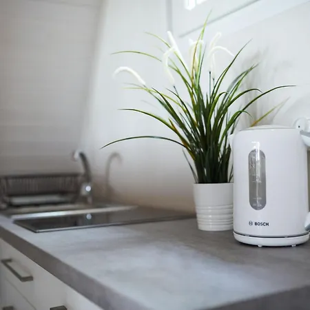 Osada Swory W Lesie Nad Jeziorem