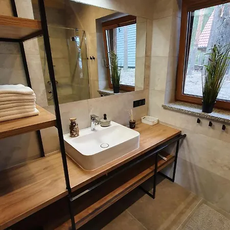 Osada Swory W Lesie Nad Jeziorem *