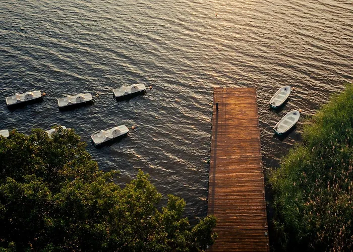 Osada Swory W Lesie Nad Jeziorem