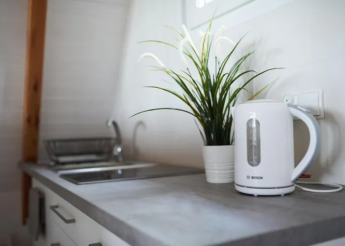 Osada Swory W Lesie Nad Jeziorem