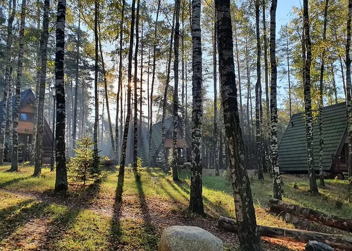Osada Swory W Lesie Nad Jeziorem *