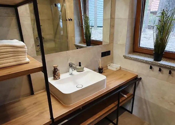 Osada Swory W Lesie Nad Jeziorem *