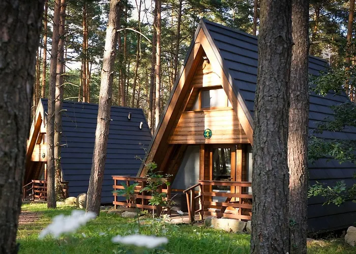 Osada Swory W Lesie Nad Jeziorem *